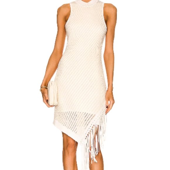 JONATHAN SIMKHAI CHELLE COMPACT POINTELLE LEATHER FRINGE  IVORY DRESS  sz XL - Picture 6 of 6